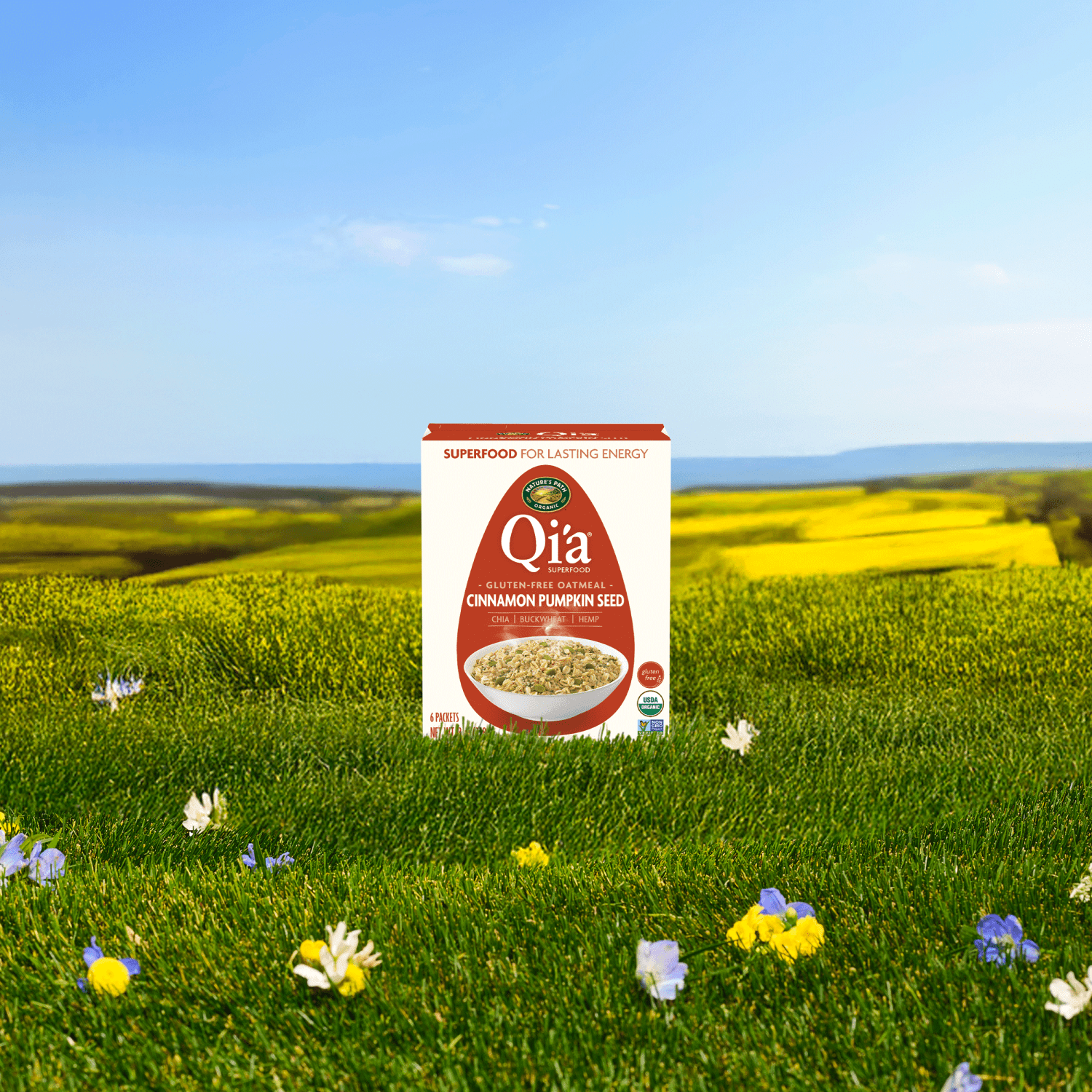 Cinnamon_Pumpkin_Seed_Oatmeal_058449154051-15405U