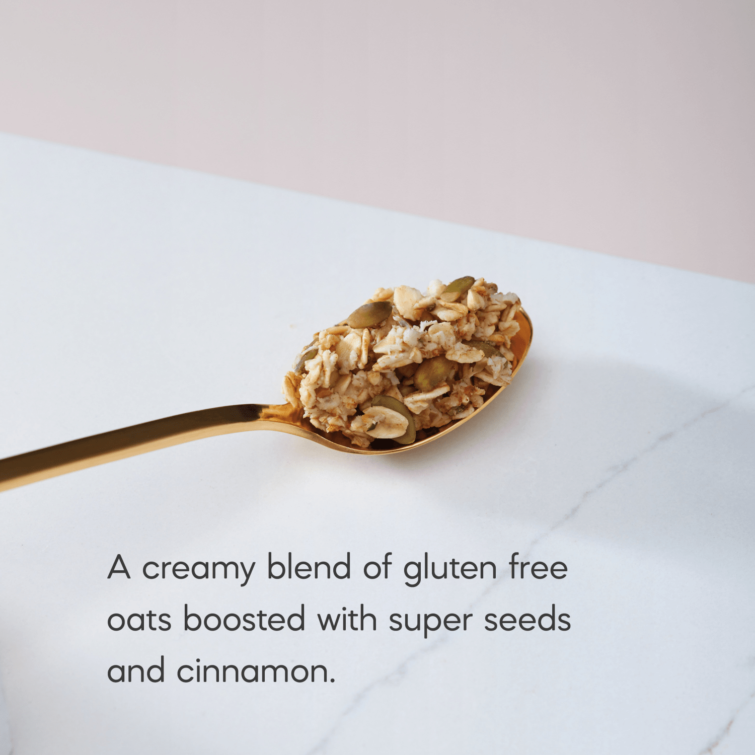 Cinnamon_Pumpkin_Seed_Oatmeal_058449154051-15405U