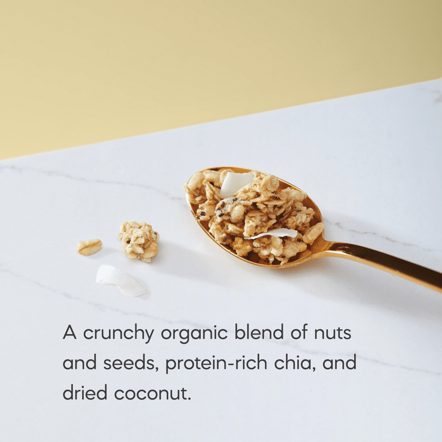Coconut_Chia_Granola_058449890331-89033U