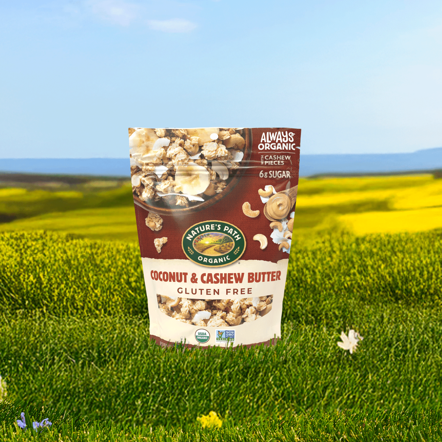Coconut_and_Cashew_Butter_Gluten_Free_Granola_058449172017-17201U