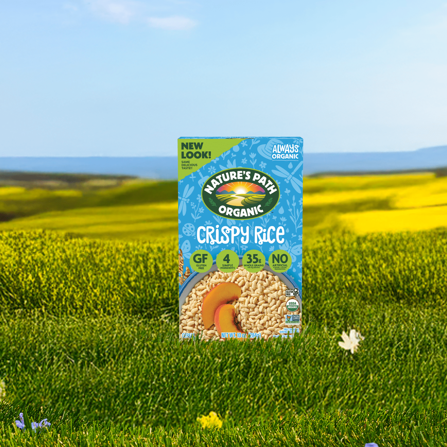 Crispy_Rice_Cereal_058449550006-55000U