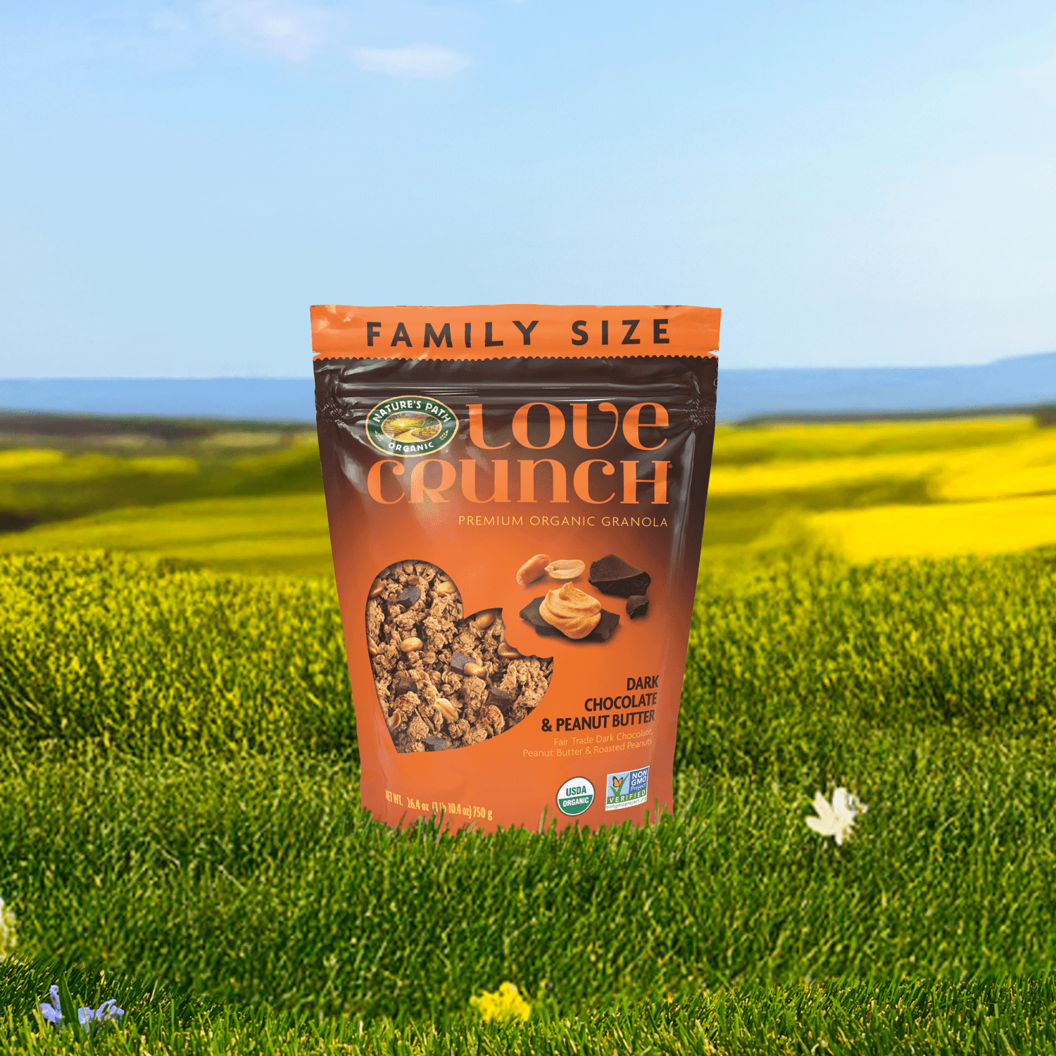 Dark Chocolate & Peanut Butter Granola_058449203100