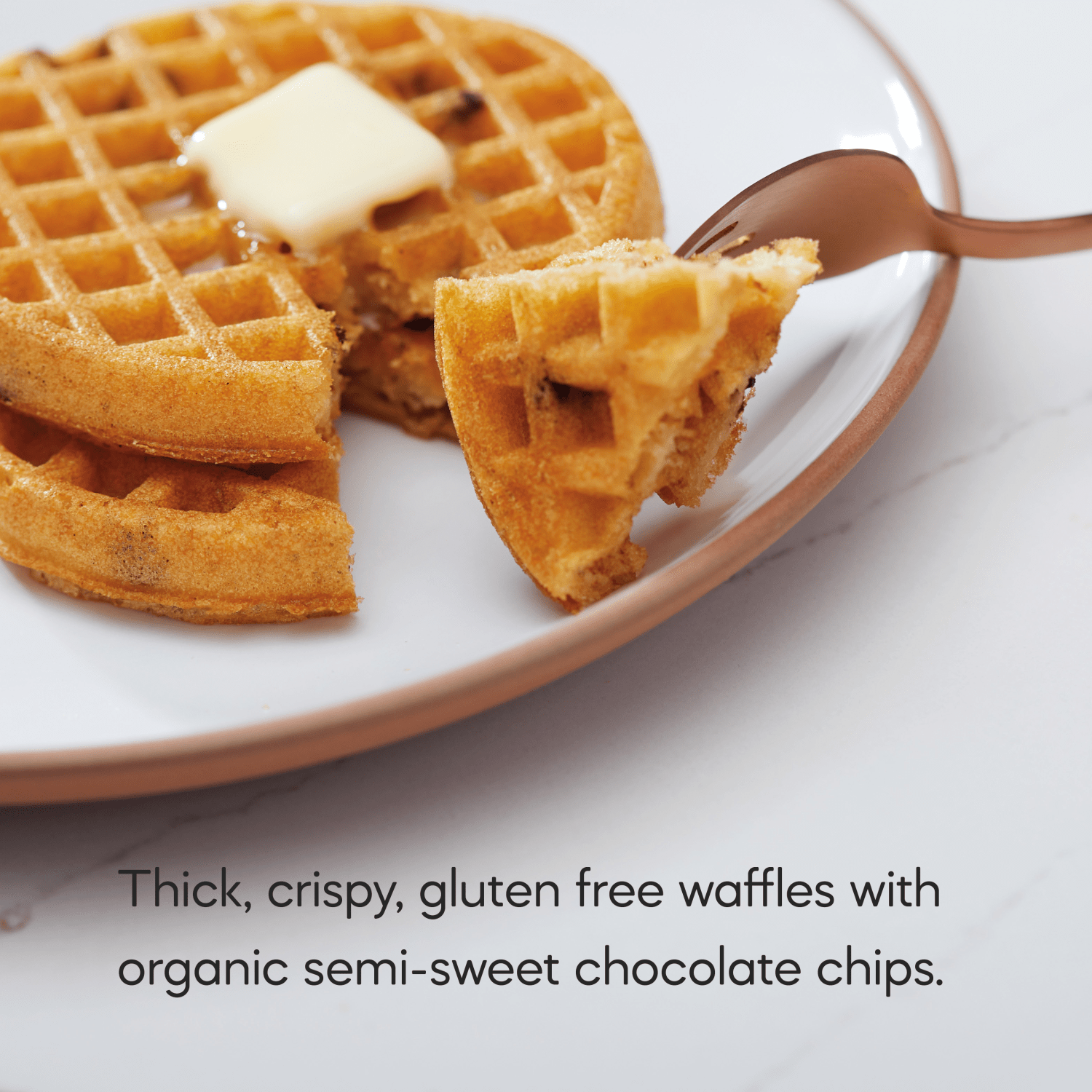 Dark_Chocolate_Chip_Frozen_Waffles_058449167013-16701U