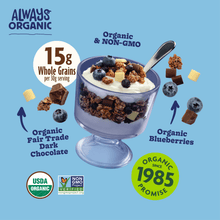 Dark_Chocolate_and_Blueberry_Cream_Granola_058449271369-27136U