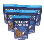 Dark_Chocolate_and_Blueberry_Cream_Granola_058449271369-27136U