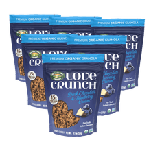 Dark_Chocolate_and_Blueberry_Cream_Granola_058449271369-27136U