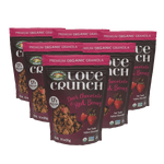 Dark_Chocolate_and_Red_Berries_Granola_058449771807-77180U2