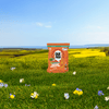 Fajita_Dippers_Tortilla_Chips_068826242738-24273