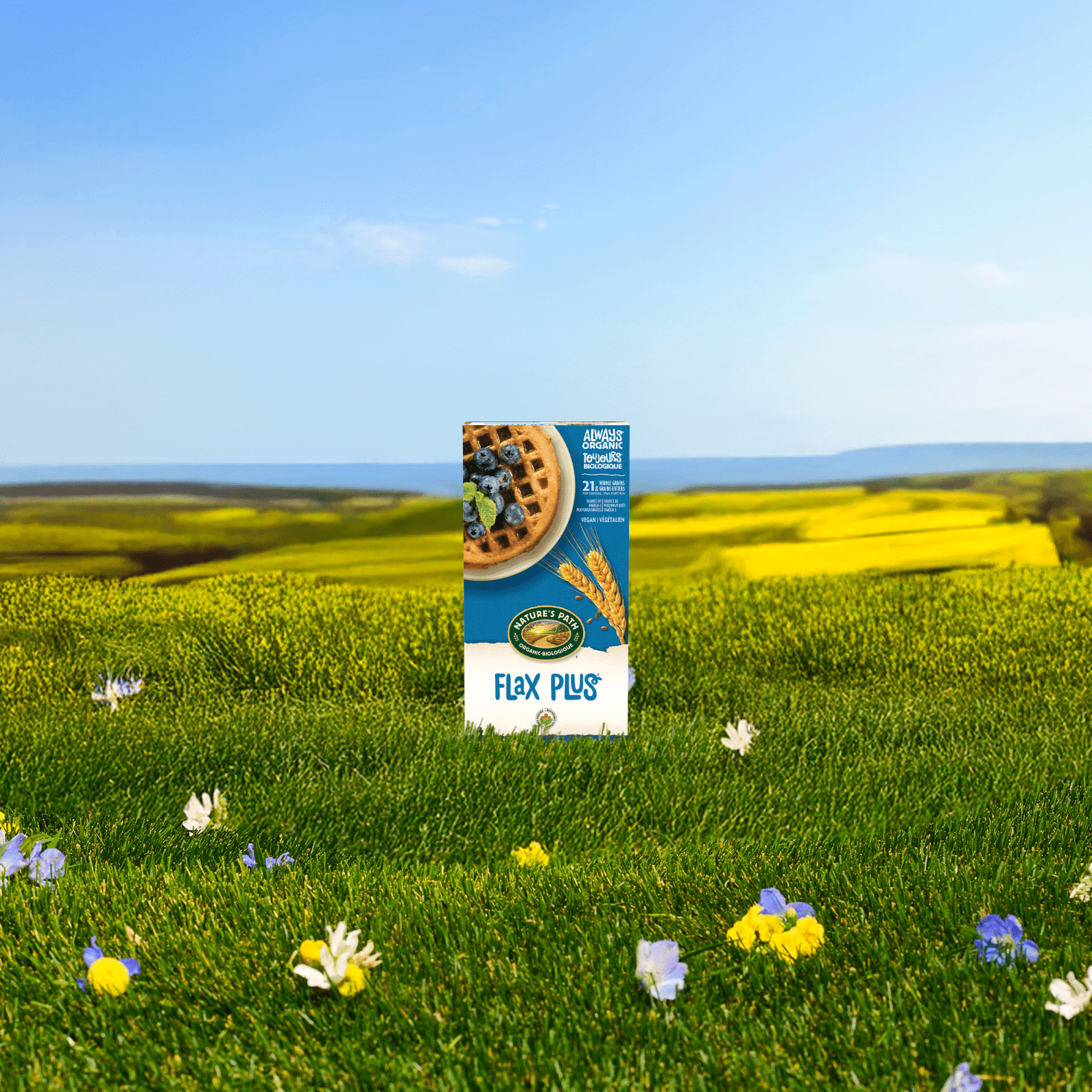 Flax Plus Frozen Waffles_058449590552