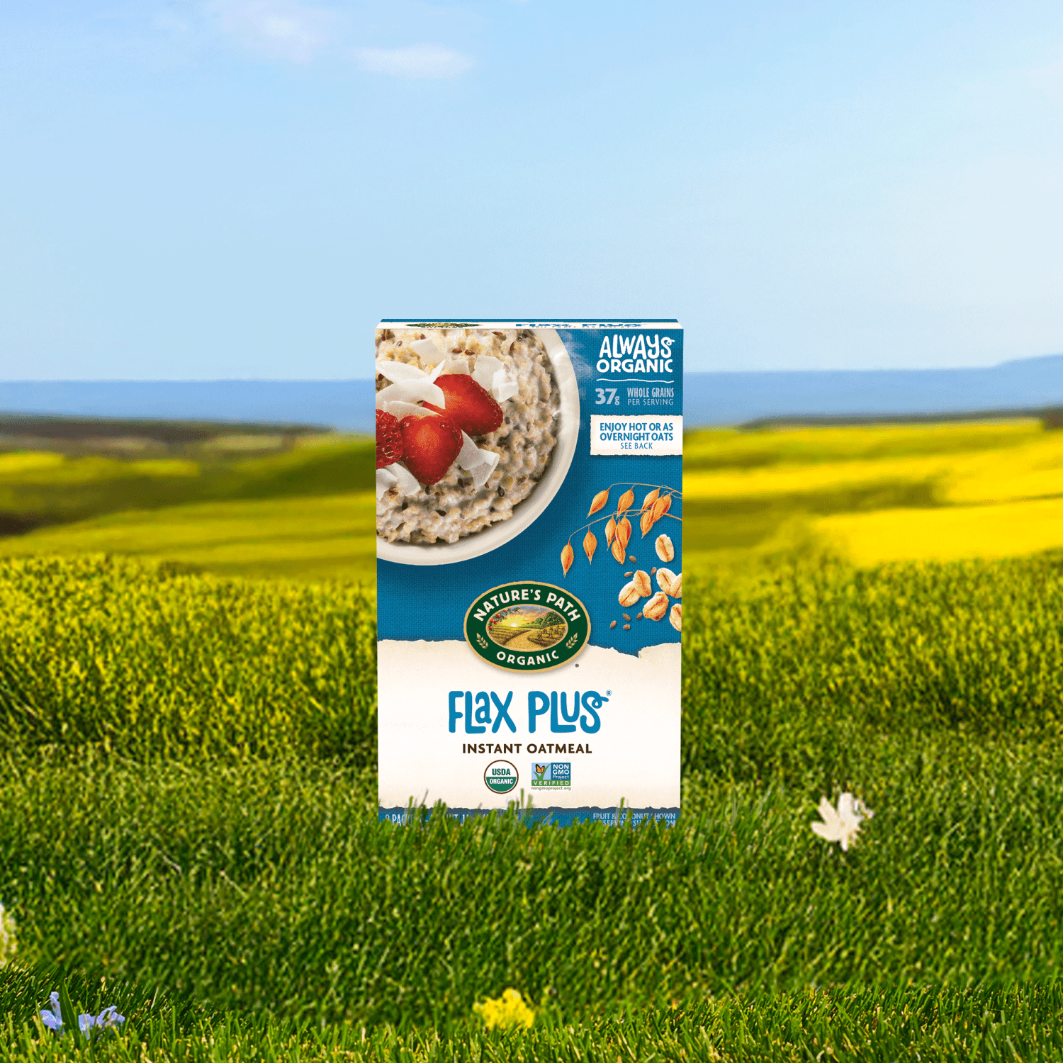 Flax-Plus-Instant-Oatmeal_058449450023
