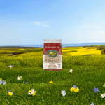 Flax_Plus_Cinnamon_Flakes_Cereal_058449771630-77163
