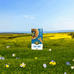 Flax_Plus_Frozen_Waffles_058449590552-59055