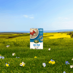 Flax_Plus_Instant_Oatmeal_058449450023-45037