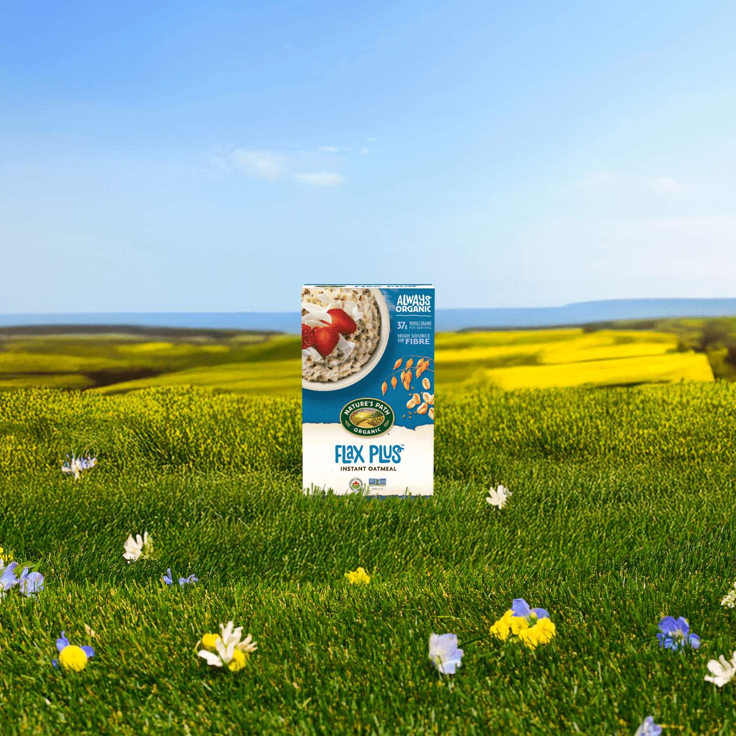 Flax_Plus_Instant_Oatmeal_058449450023-45037
