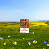 Flax_Plus_Maple_Pecan_Crunch_Cereal_058449771425-77142