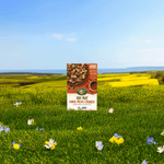 Flax_Plus_Maple_Pecan_Crunch_Cereal_058449771425-77142
