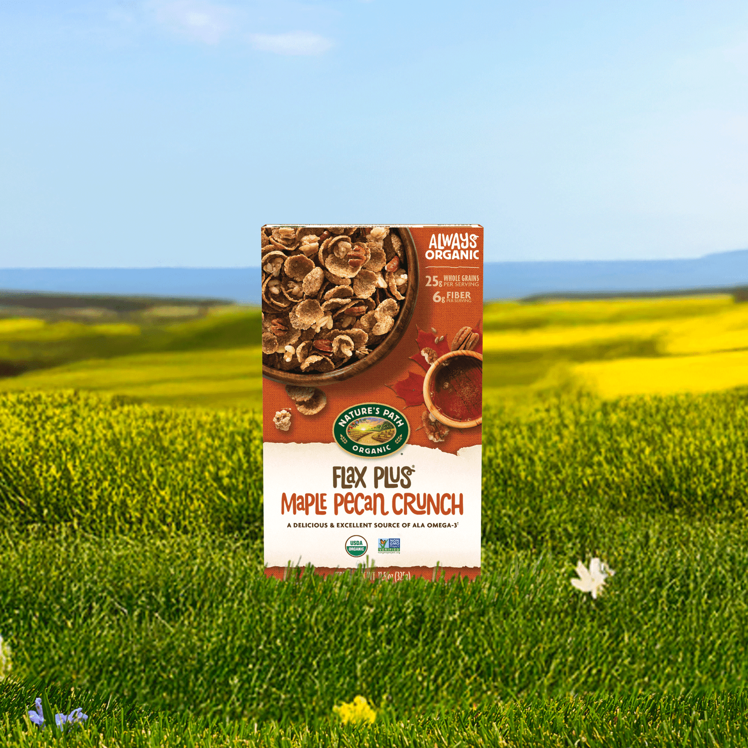 Flax_Plus_Maple_Pecan_Crunch_Cereal_058449771432-77143U
