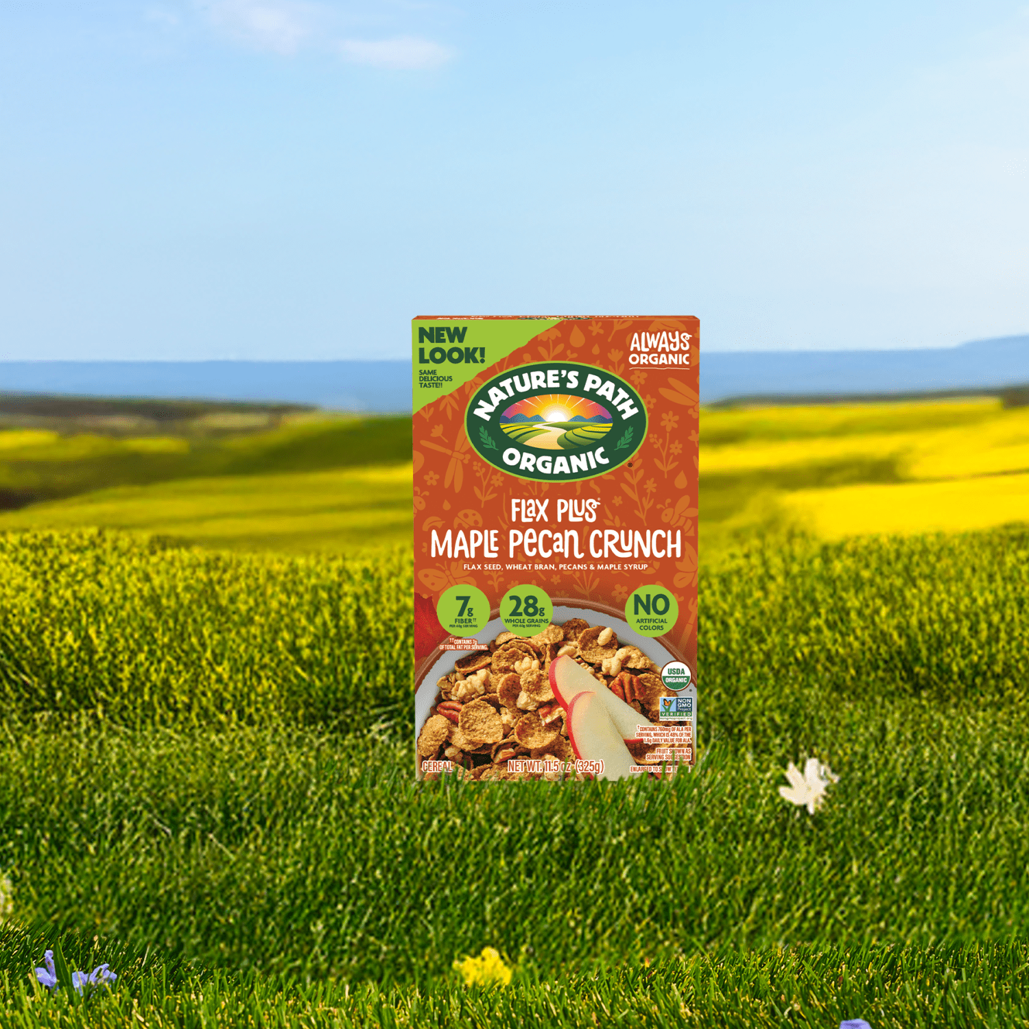 Flax_Plus_Maple_Pecan_Crunch_Cereal_058449771432-77143U