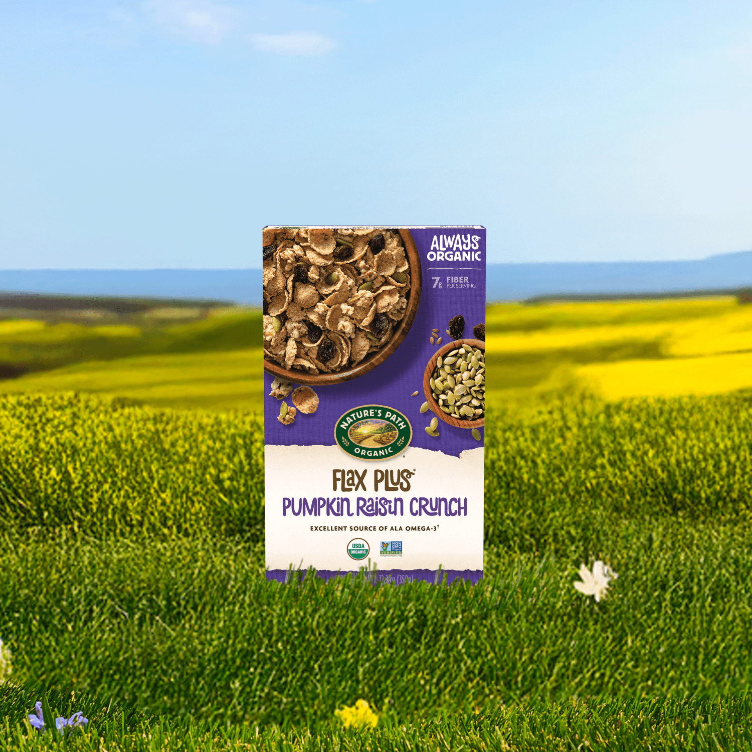 Flax_Plus_Pumpkin_Raisin_Crunch_Cereal_058449777311-77731U