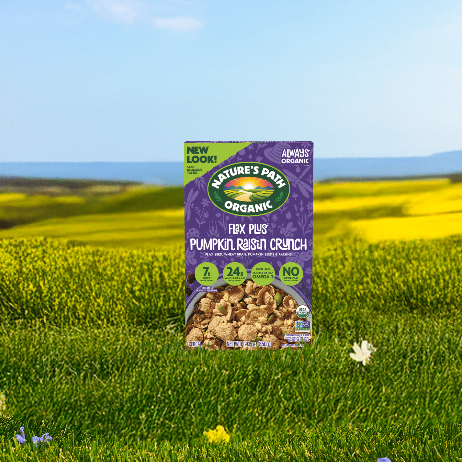 Flax_Plus_Pumpkin_Raisin_Crunch_Cereal_058449777311-77731U