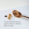 Flax_Plus_Raisin_Bran_Cereal_058449770992-77099U