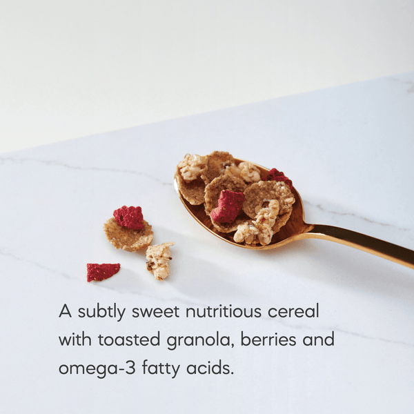 Nature's Path Organic Flax Plus Red Berry Crunch Cereal