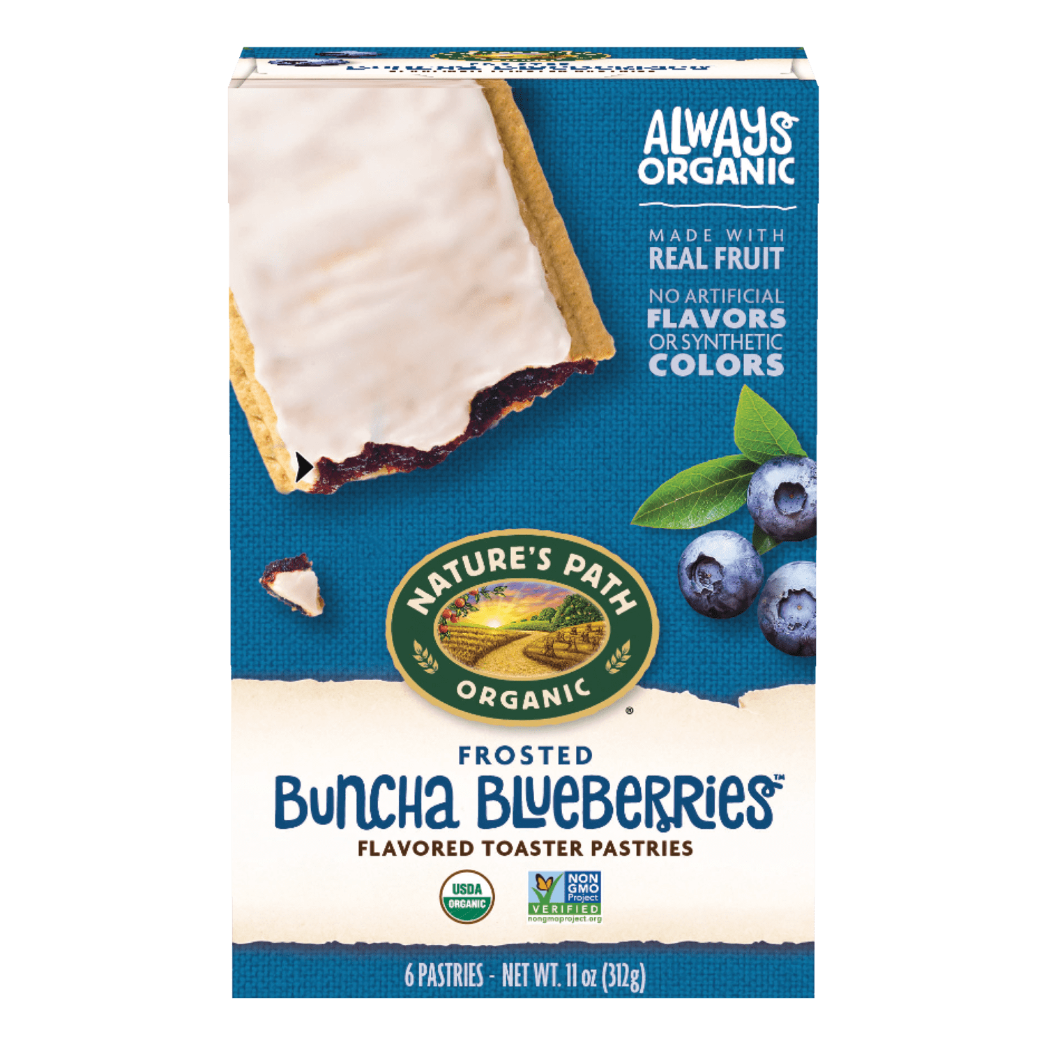 Frosted_Buncha_Blueberries_Toaster_Pastries_058449410010
