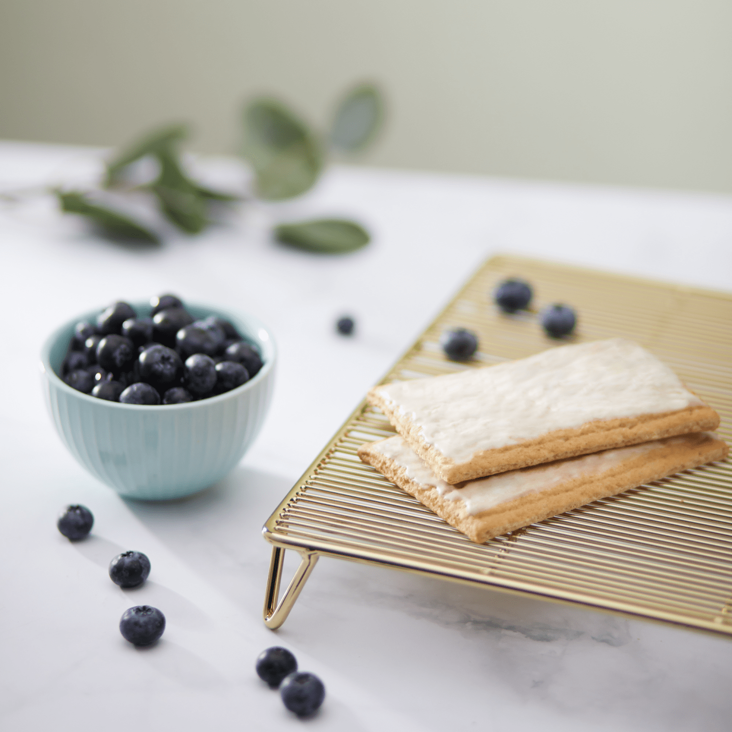 Frosted_Buncha_Blueberries_Toaster_Pastries_058449410010