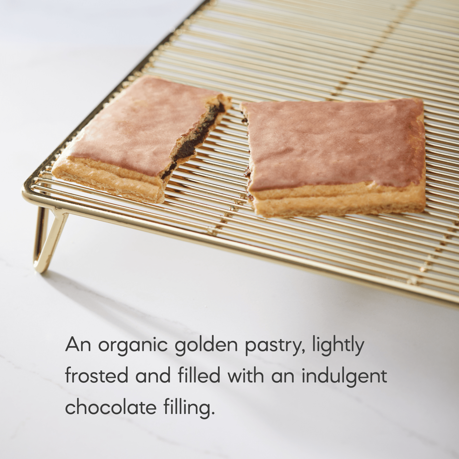 Frosted_Lotta_Chocolotta_Toaster_Pastries_058449410140