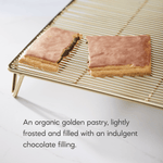 Frosted_Lotta_Chocolotta_Toaster_Pastries_058449410140