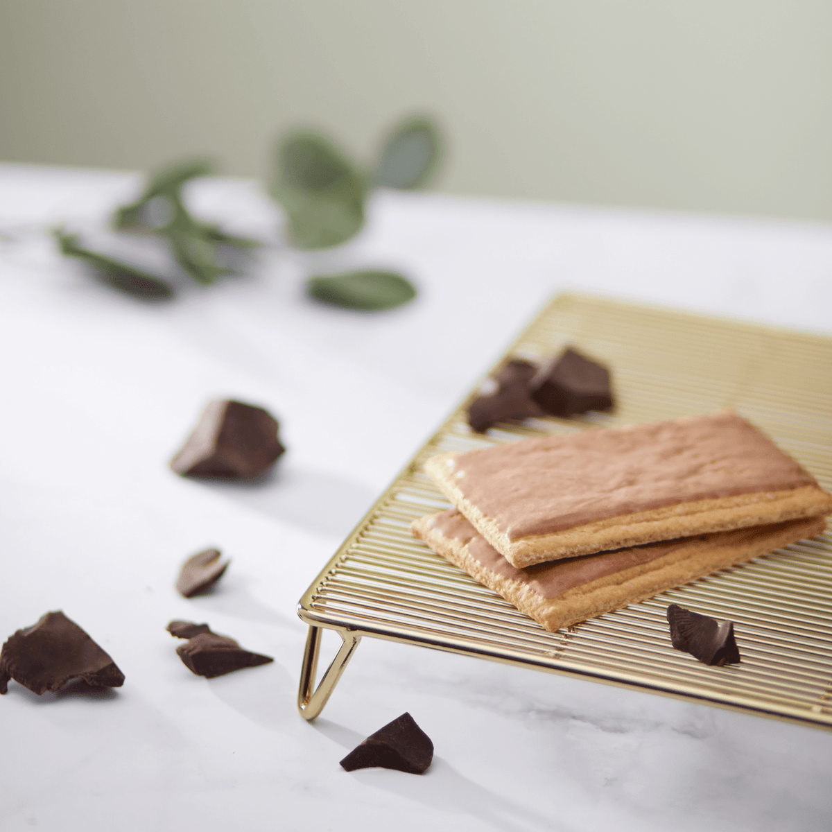 Frosted_Lotta_Chocolotta_Toaster_Pastries_058449410140
