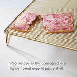 Frosted_Razzi_Raspberry_Toaster_Pastries_058449410249-41024U2