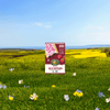 Frosted_Wildberry_Aai_Toaster_Pastries_058449410225-41022U2