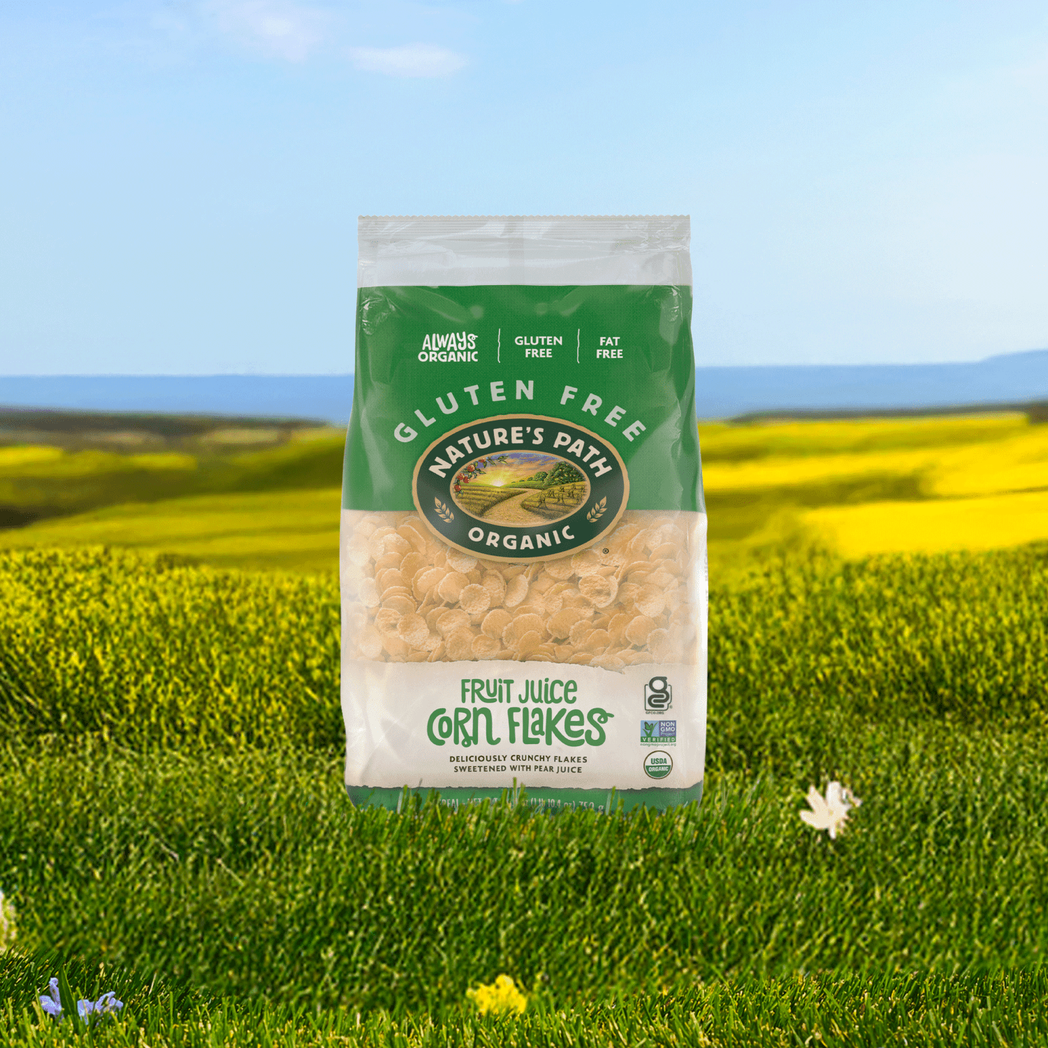 Fruit_Juice_Sweetened_Corn_Flakes_Cereal_058449600565-60056U