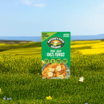 Fruit_Juice_Sweetened_Corn_Flakes_Cereal_058449600572-60057U