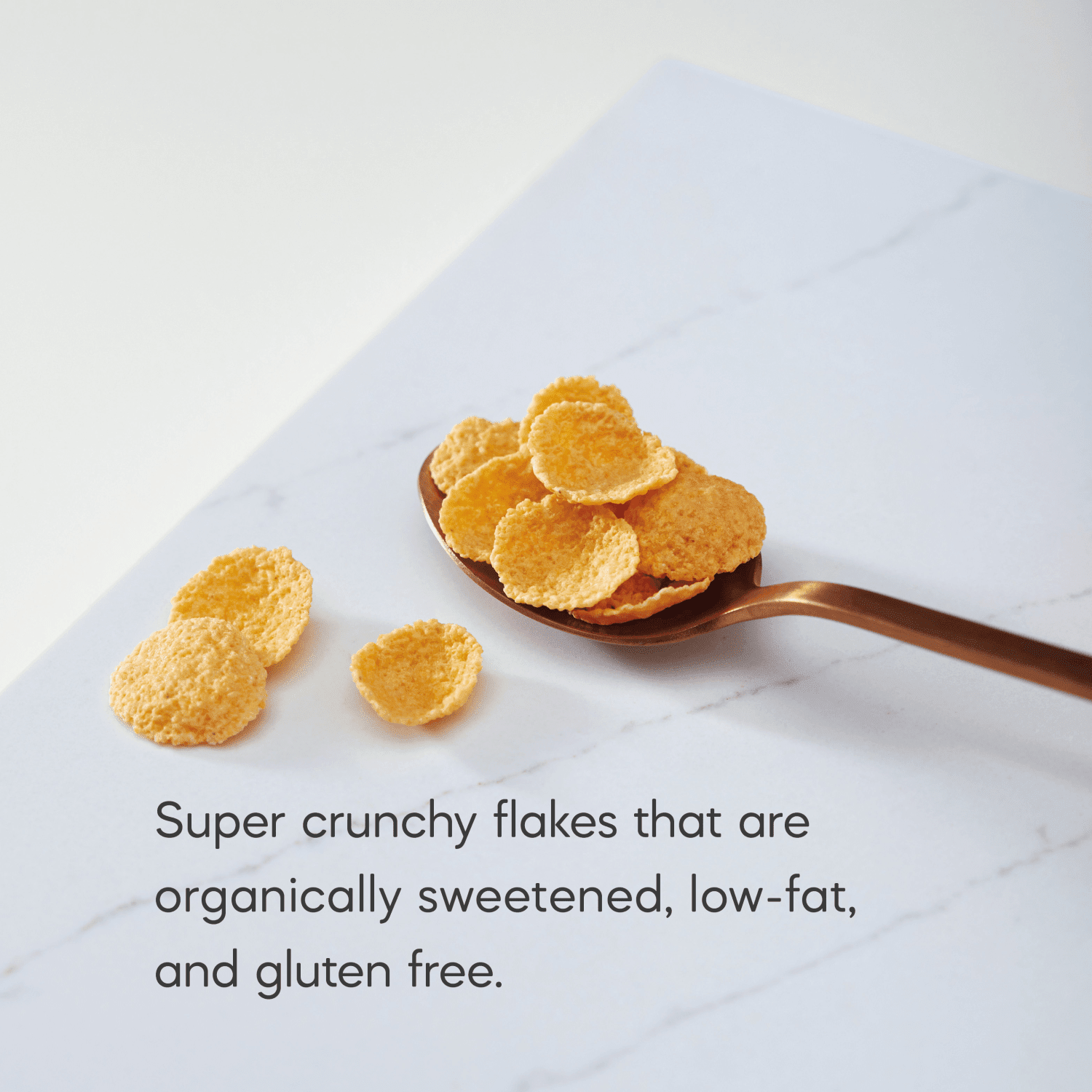 Fruit_Juice_Sweetened_Corn_Flakes_Cereal_058449600572