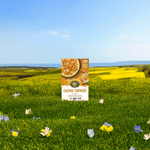 Golden_Turmeric_Gluten_Free_Cereal_058449189107-18910