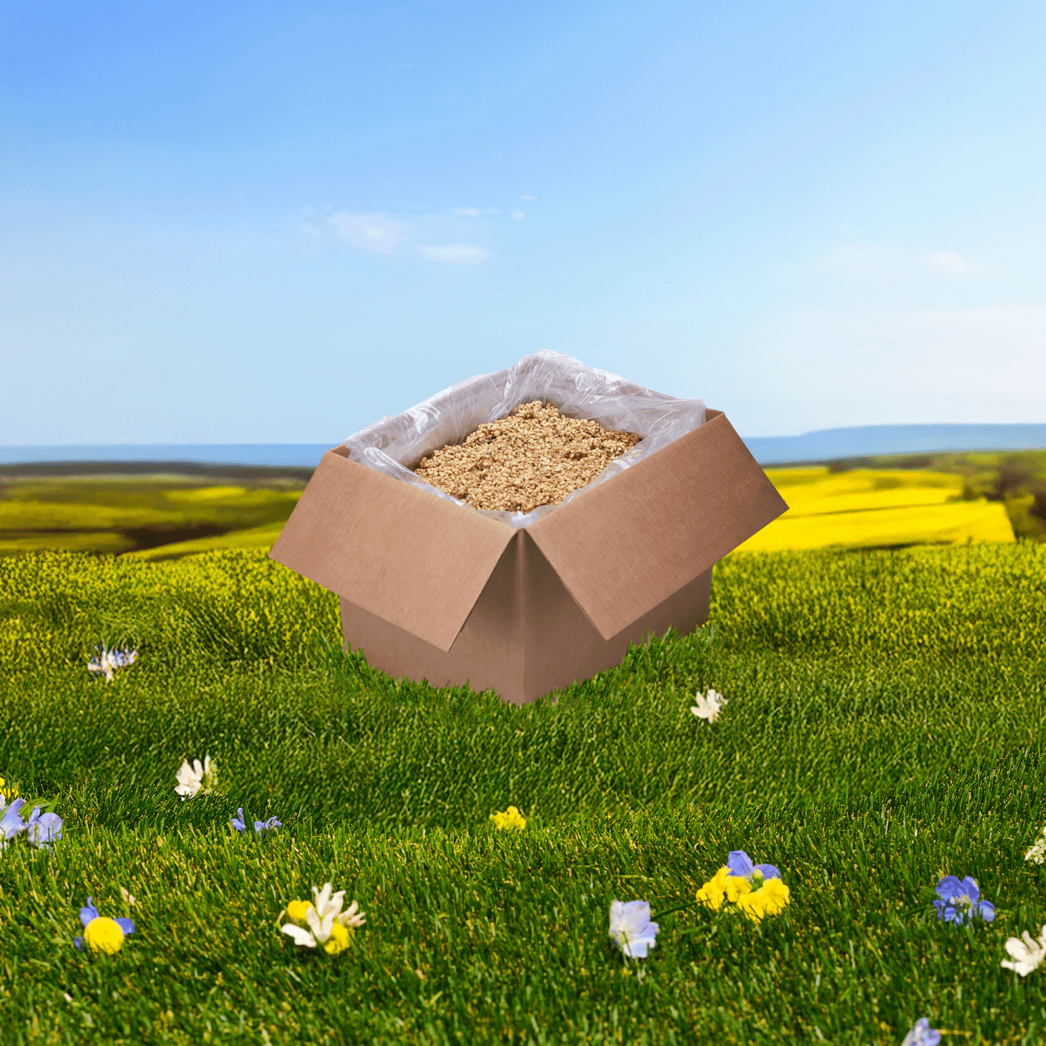Hemp Hearts Granola_10058449221286