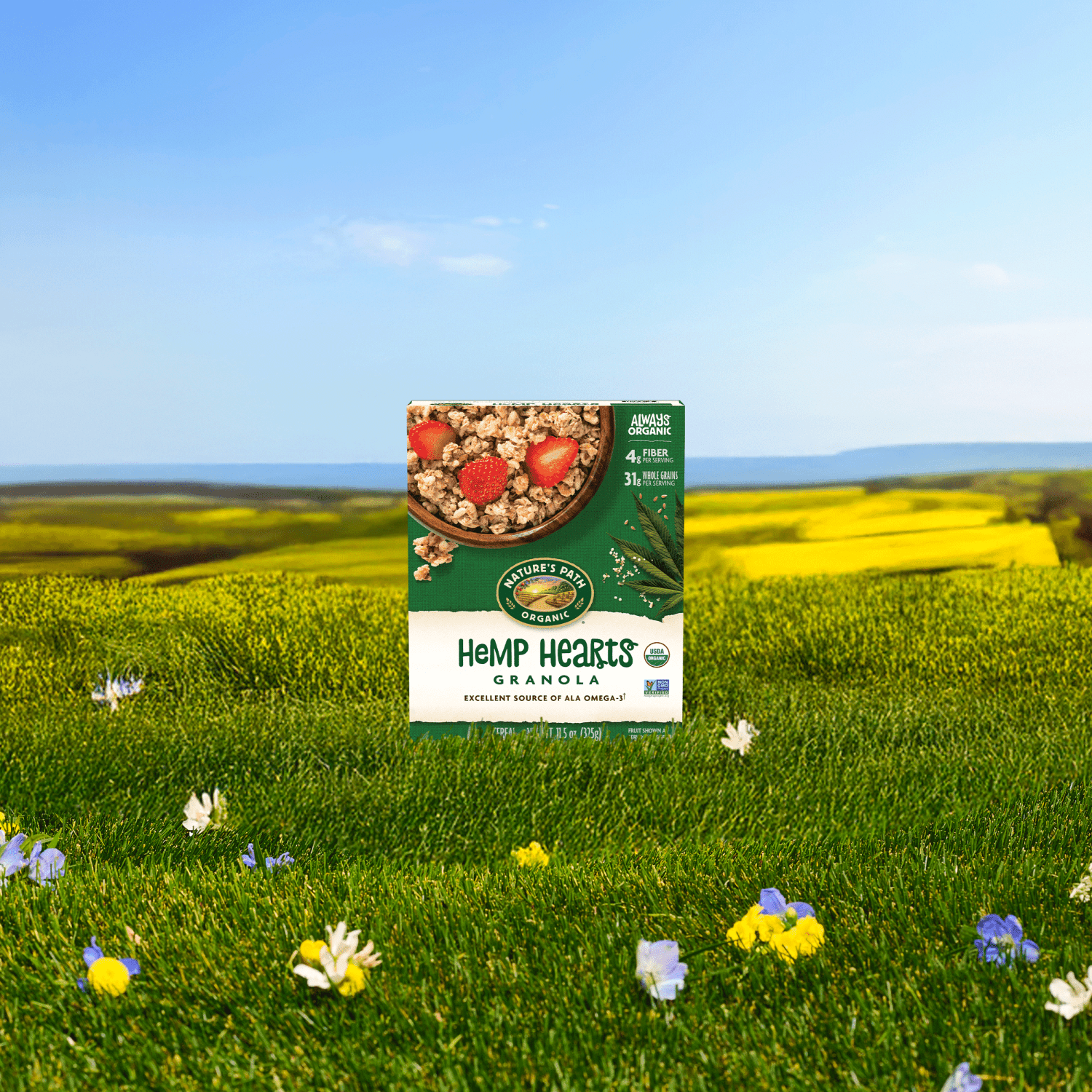 Hemp_Hearts_Granola_058449890003-89000U