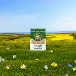 Hemp_Hearts_Granola_058449890171-89017