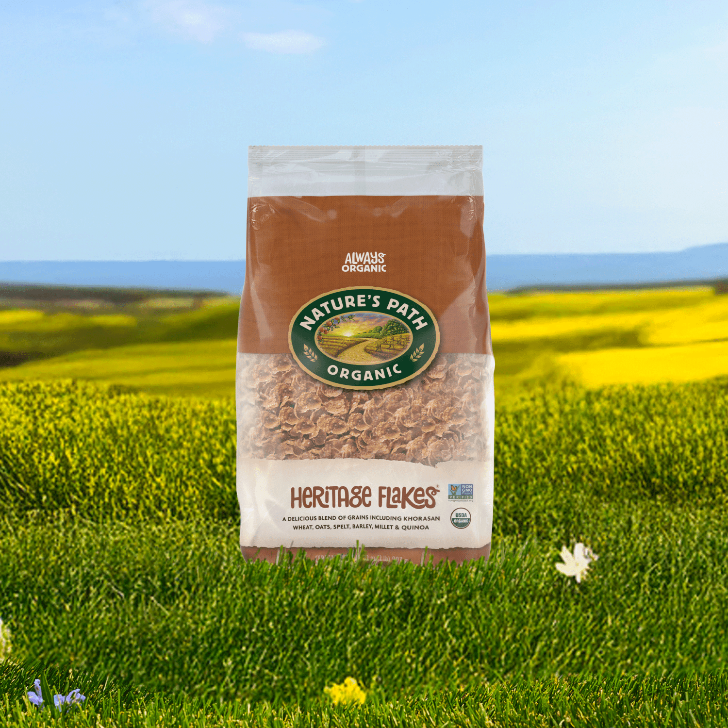 Heritage_Flakes_Cereal_058449770213-77021U