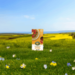 Homestyle_Gluten_Free_Frozen_Waffles_058449590521-59052