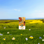 Homestyle_Gluten_Free_Frozen_Waffles_058449590545-59054U