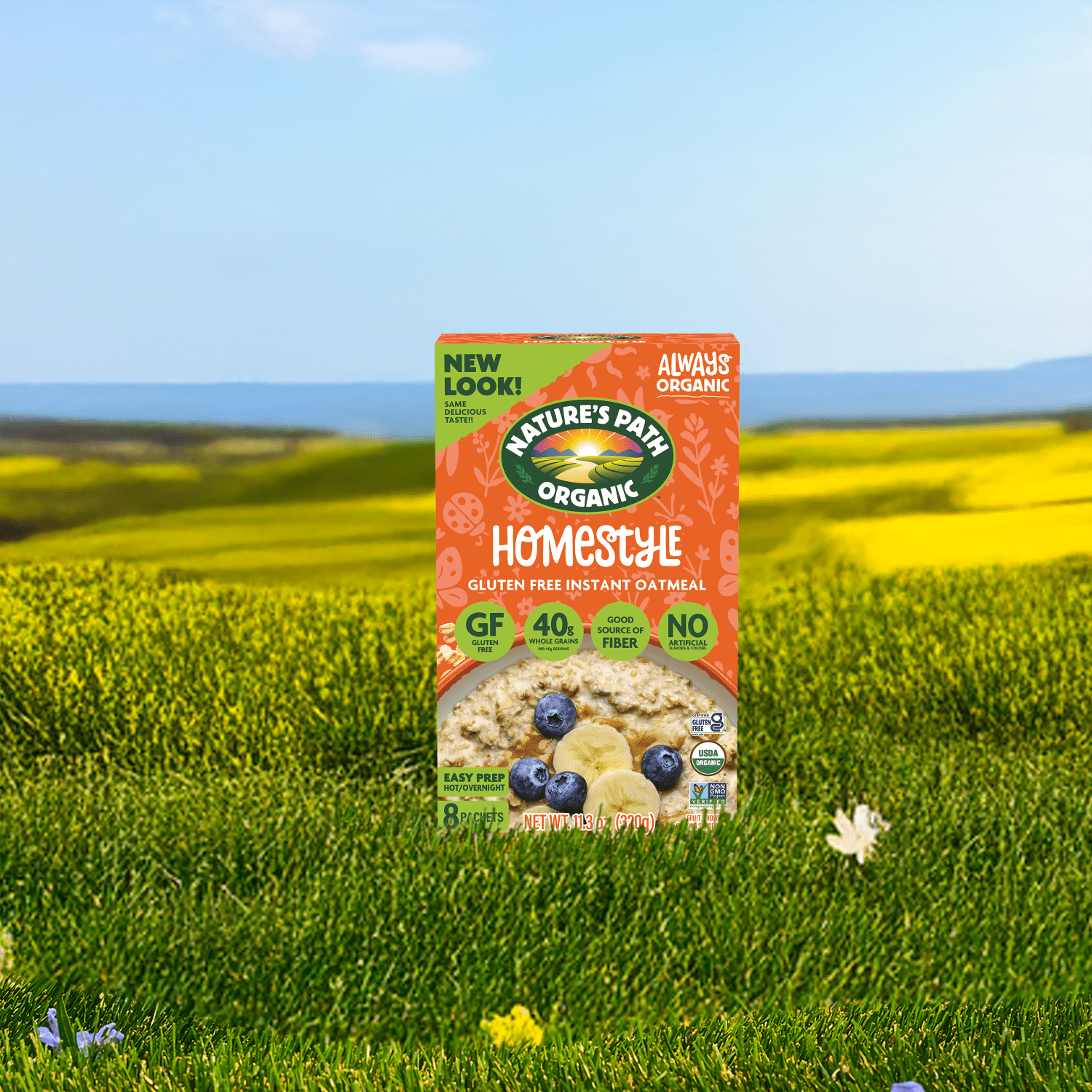 Homestyle_Gluten_Free_Instant_Oatmeal_058449450573-45057U