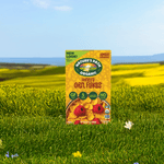 HoneyD_Corn_Flakes_Cereal_058449602187-60218U