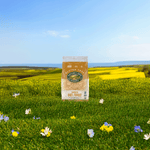 HoneyD_Corn_Flakes_Cereal_058449770947-77094U