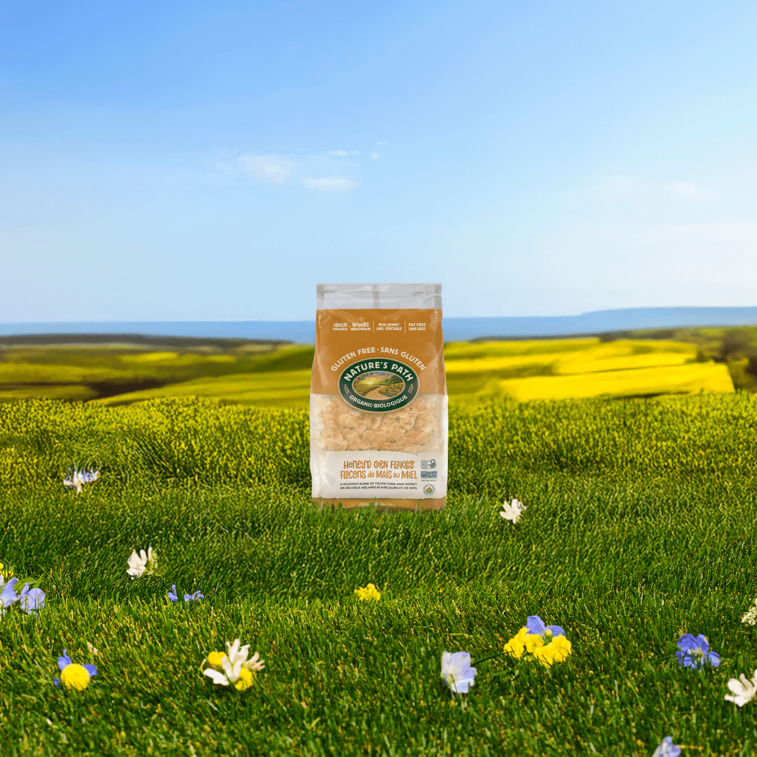 HoneyD_Corn_Flakes_Cereal_058449770947-77094