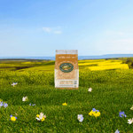 HoneyD_Corn_Flakes_Cereal_058449770947-77094