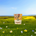 Honey_Almond_Granola_058449890416-89041