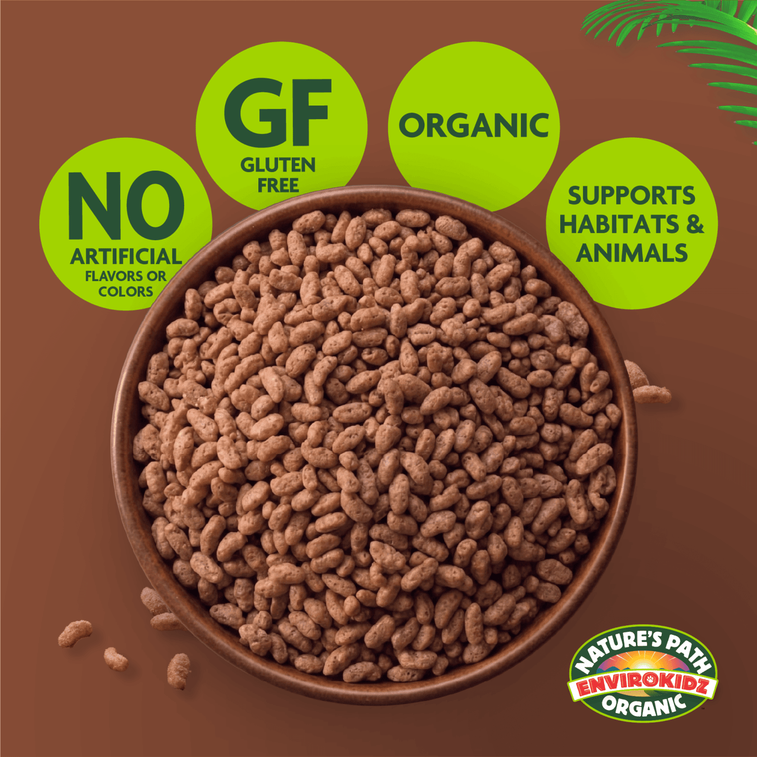 EnviroKidz Organic Koala Crisp Cereal Bulk Box – Nature's Path